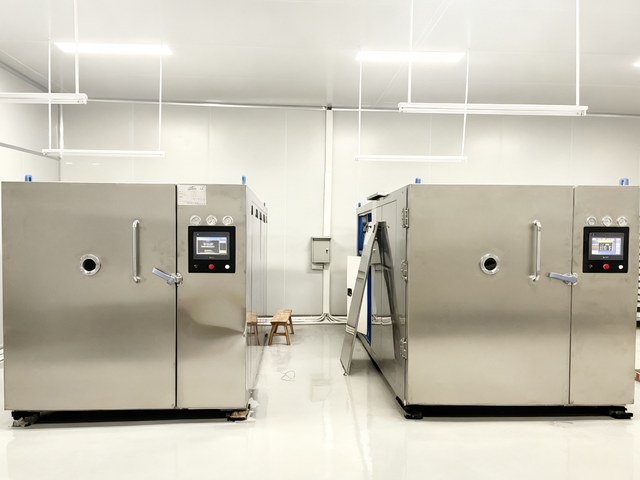 Pet Treat Startup: Scaling from Lab to Production with CVD-100