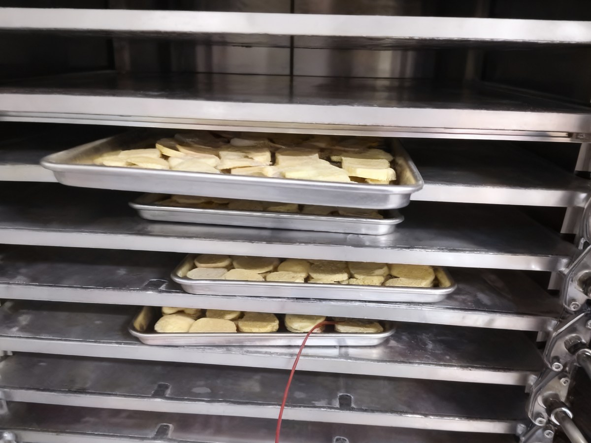 CVD-060 Small Freeze Dryer | 0.6m² Drying Area · 6kg/batch · 220V Power